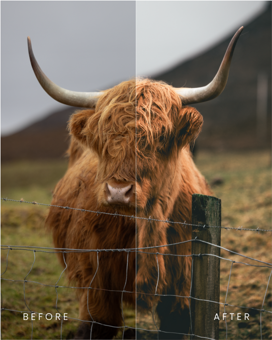 30 Adobe Lightroom Presets