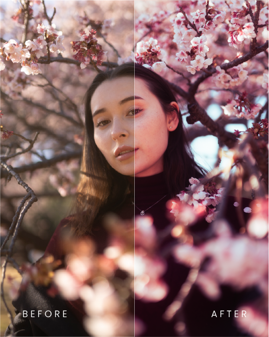 Dual Value Pack - 70 Lightroom Presets