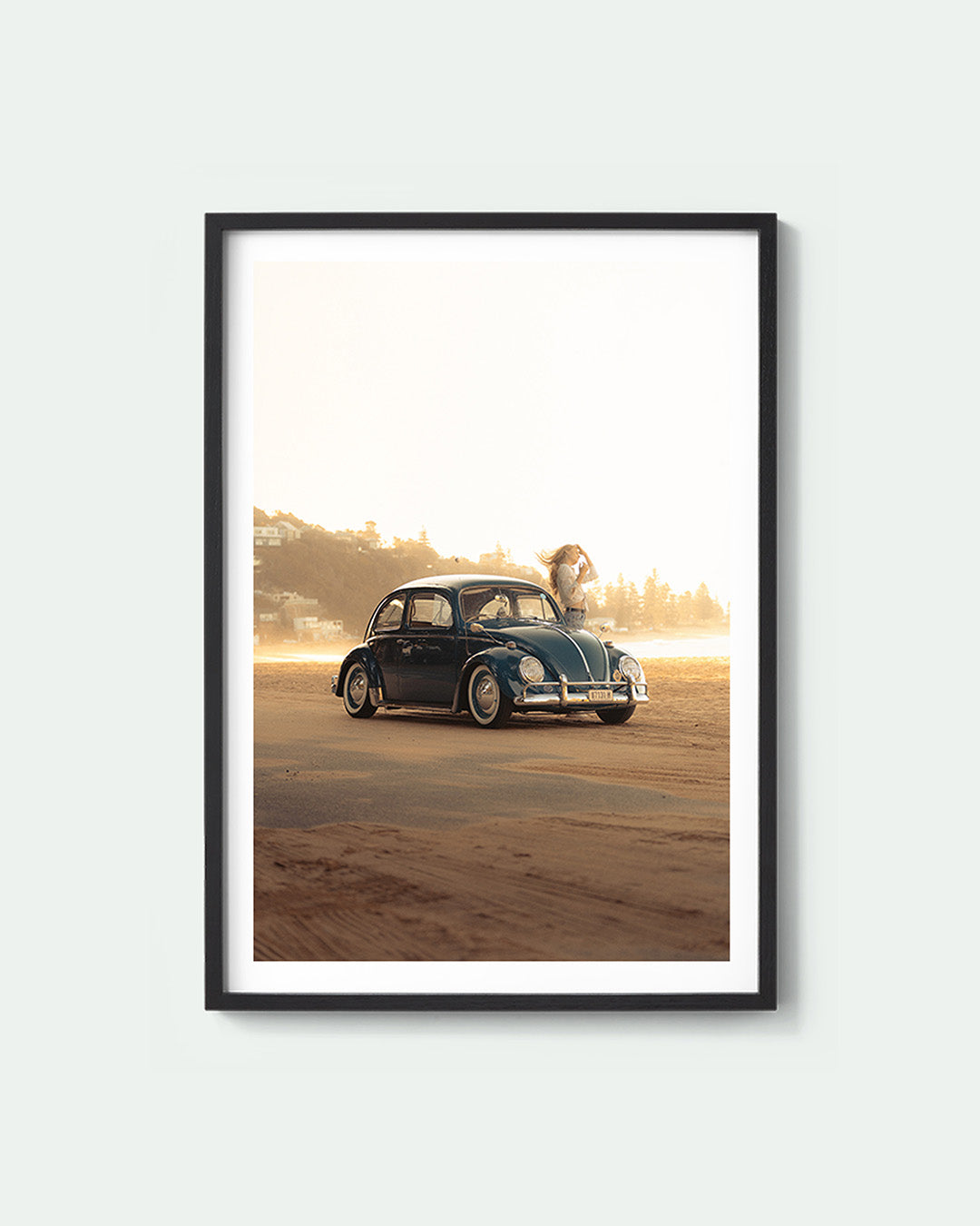 Summer Beetle
