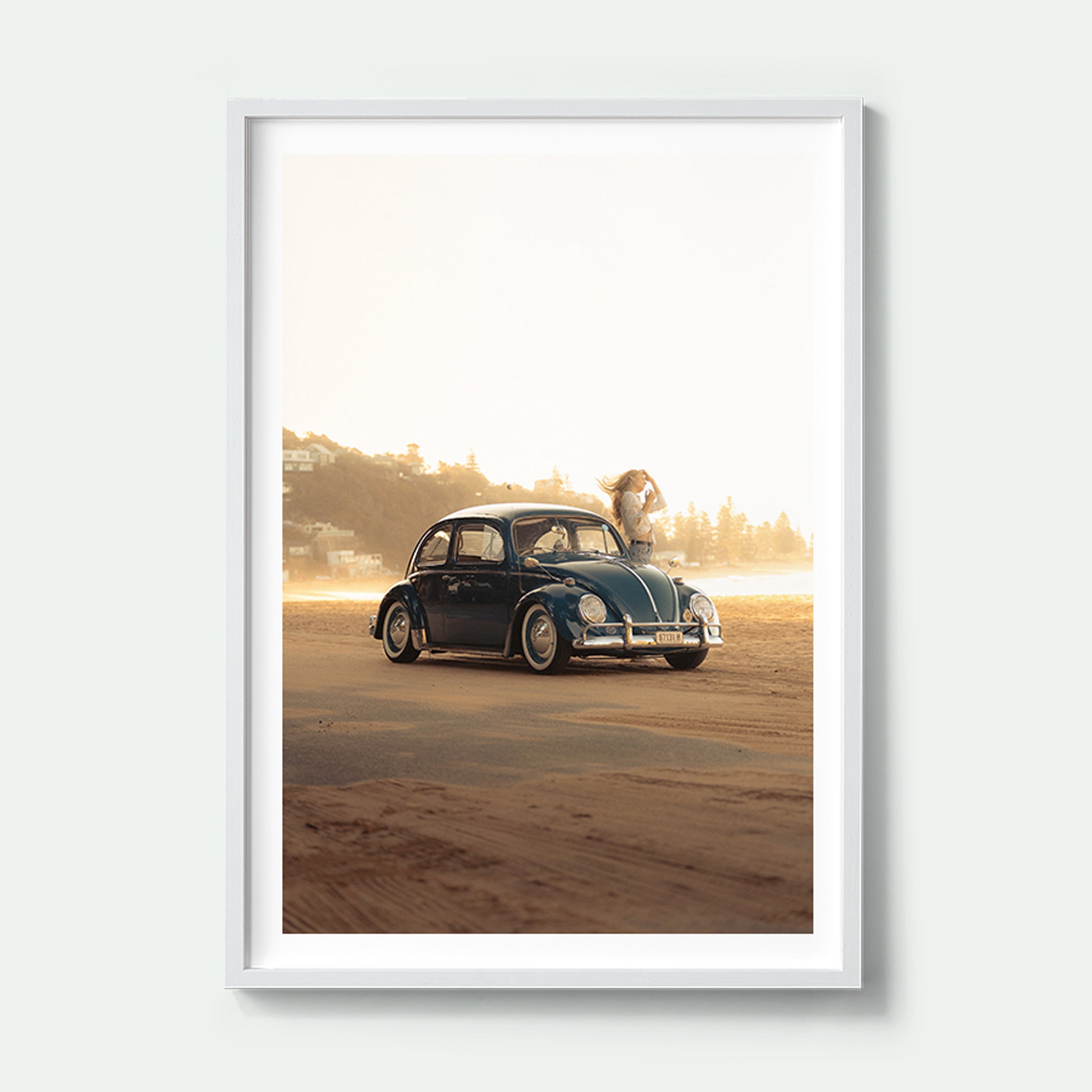 Summer Beetle