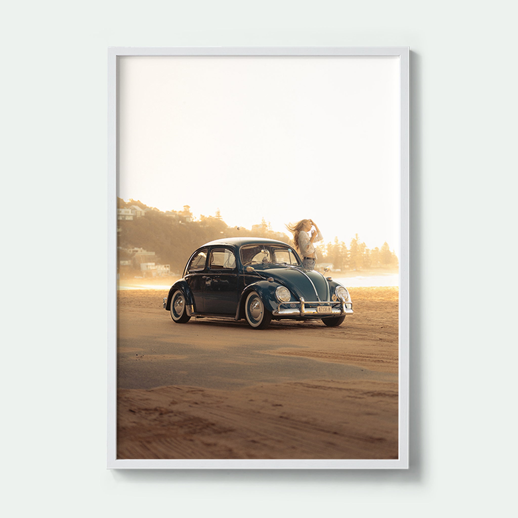 Summer Beetle