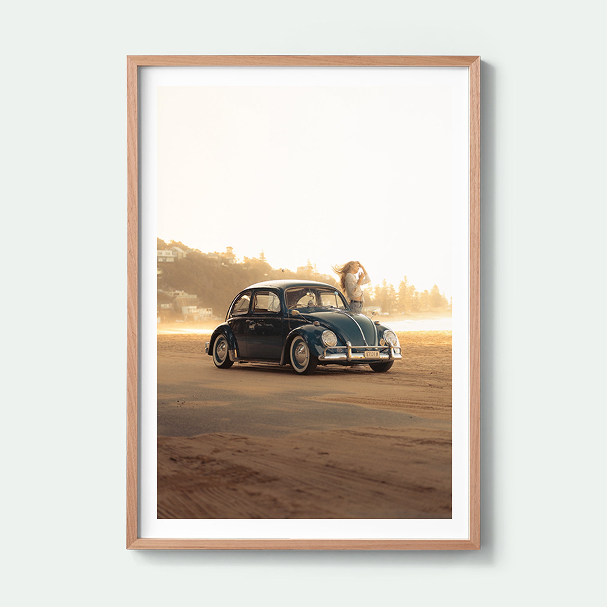 Summer Beetle