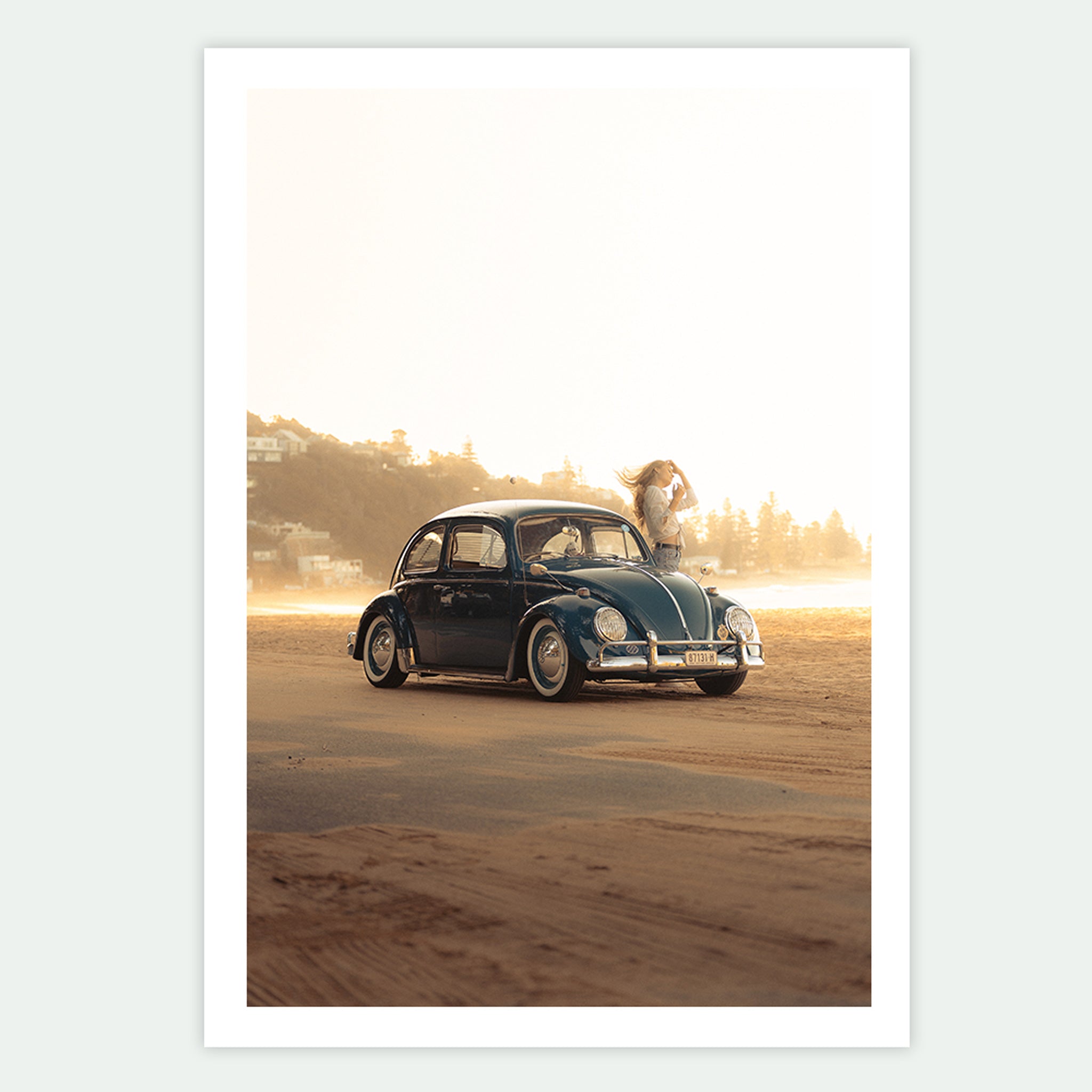 Summer Beetle
