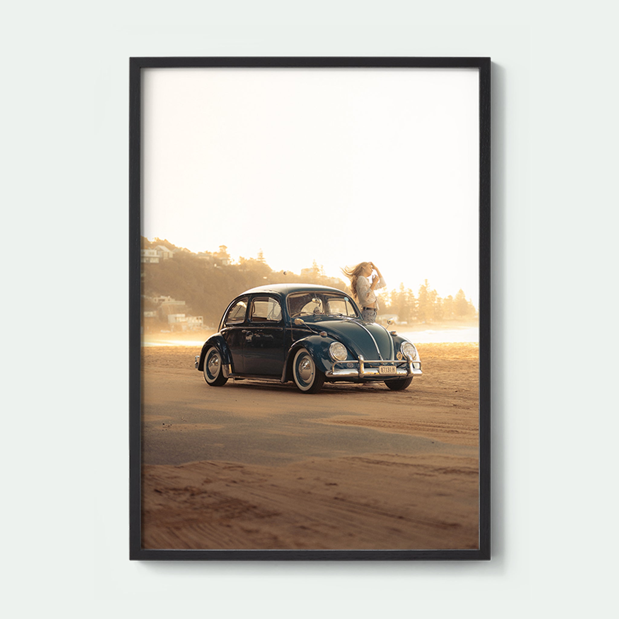 Summer Beetle