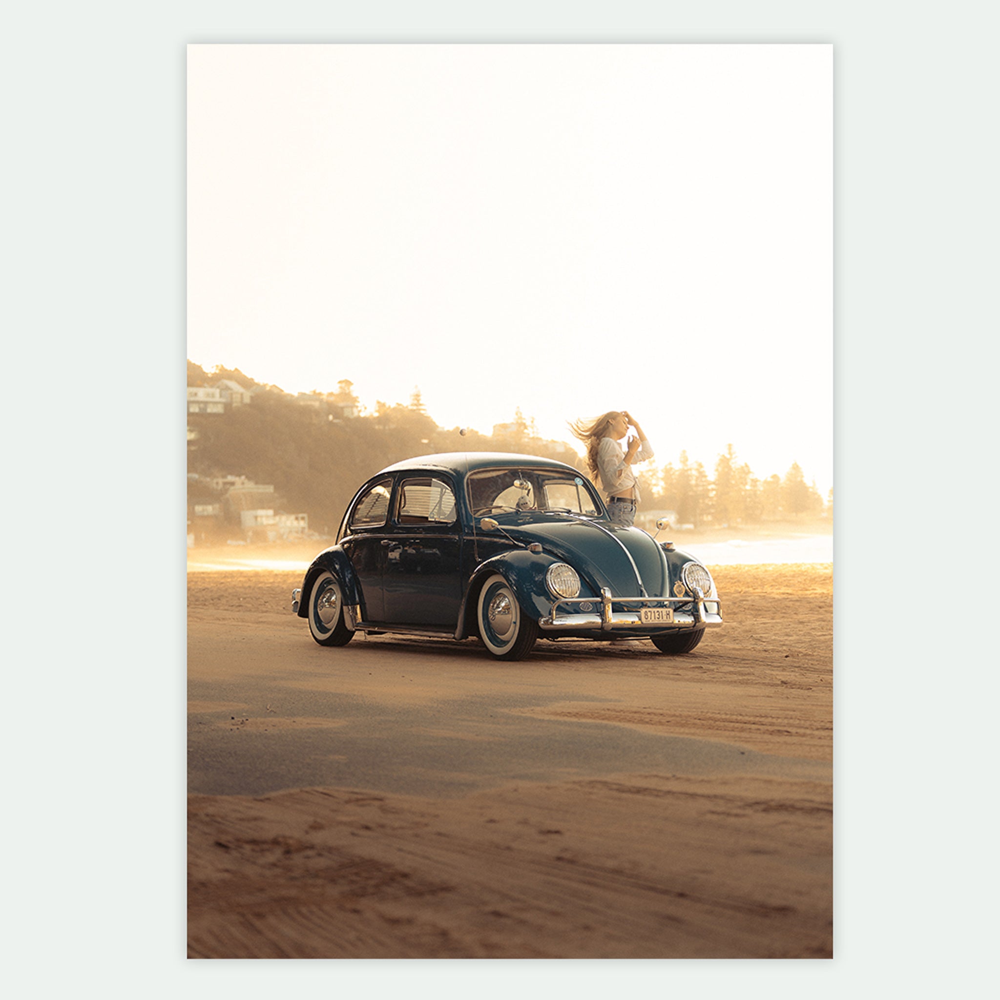 Summer Beetle