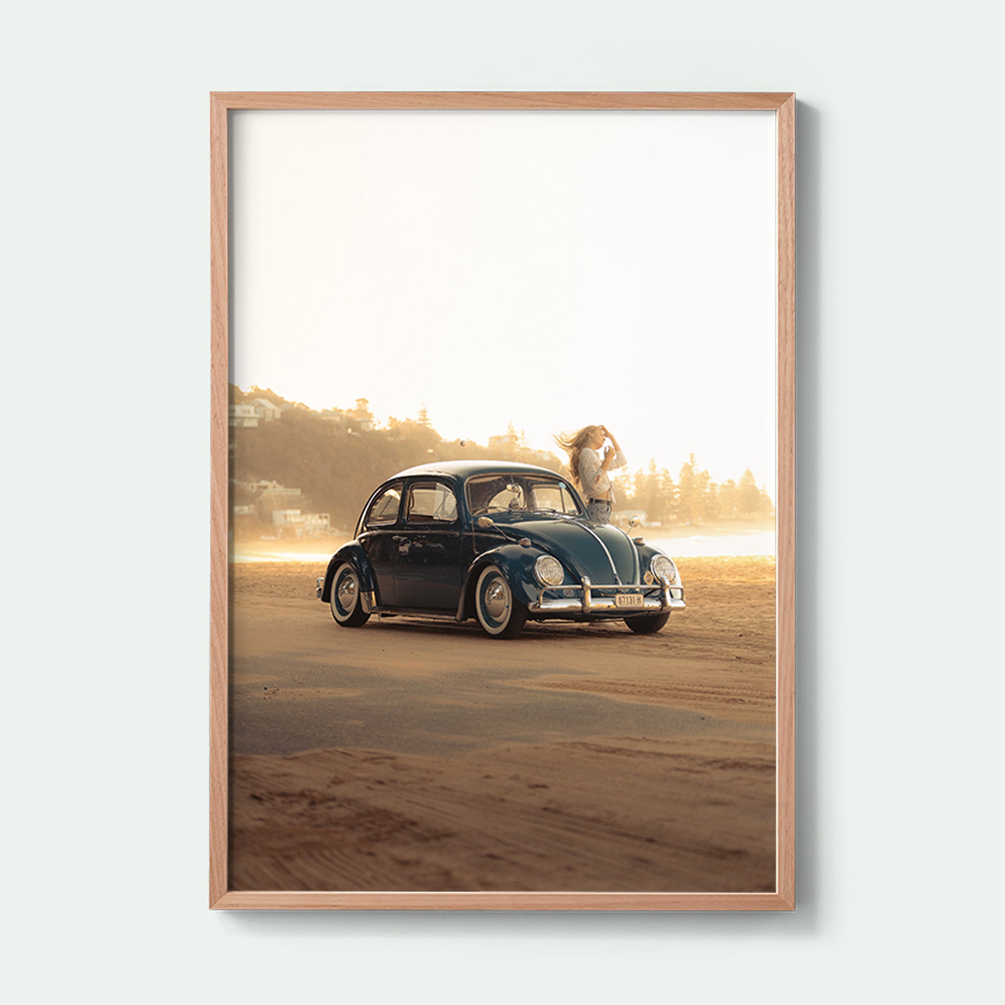 Summer Beetle